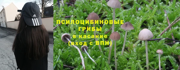 экстази Алексин