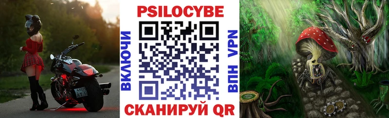 купить  сайты  Брянск  Галлюциногенные грибы мухоморы 